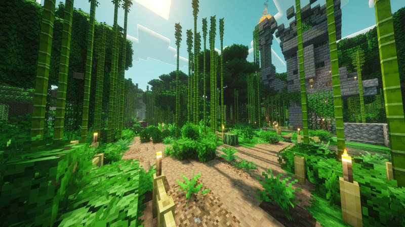 back on the surface, the sun illuminates the path heading off into the distance and deeper into the bamboo jungle.