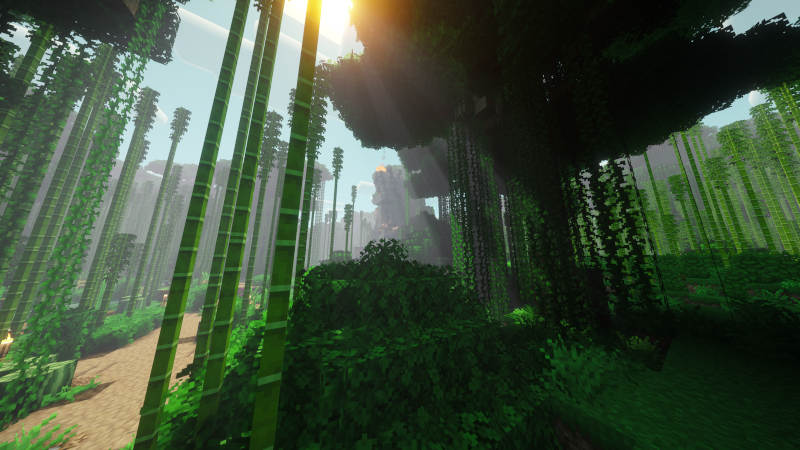 Between the trees and bamboo, a second structure identical to the first is visible behind bright sunbeams. Bamboo is everywhere.